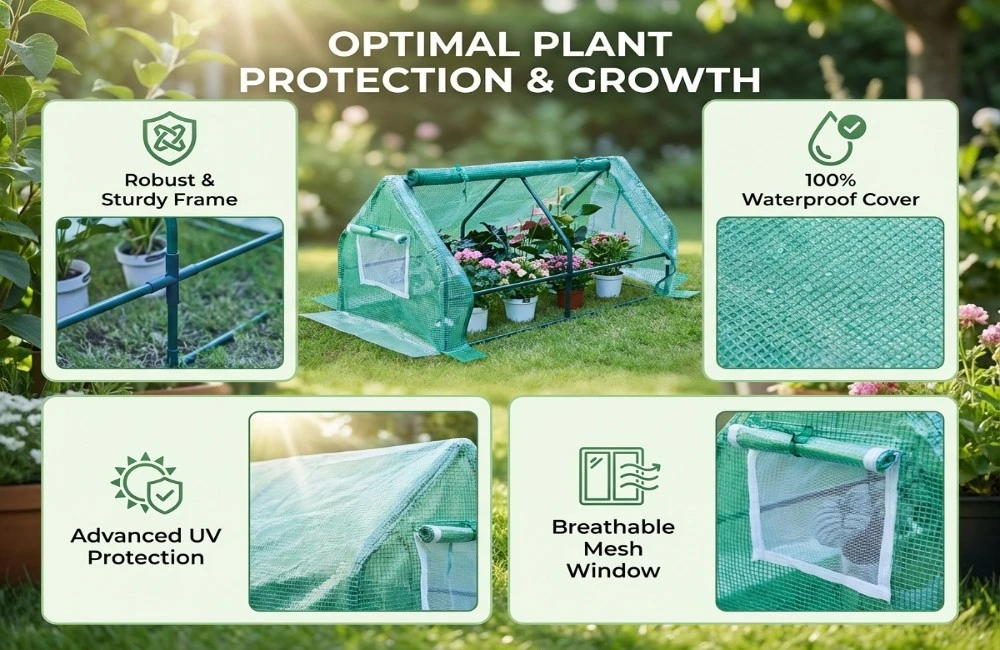 product-1000-650 product-1000-650